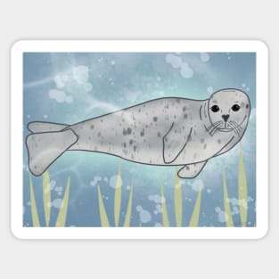 Peace - Pacific Harbor Seal Sticker